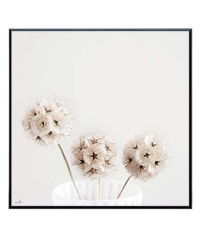 GOLF FLOWER_SQ